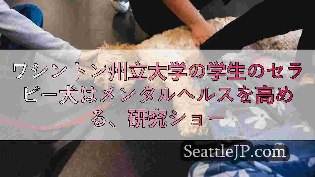 ワシントン州立大学の学生のセラピー犬はメンタルヘルスを高める、研究ショー