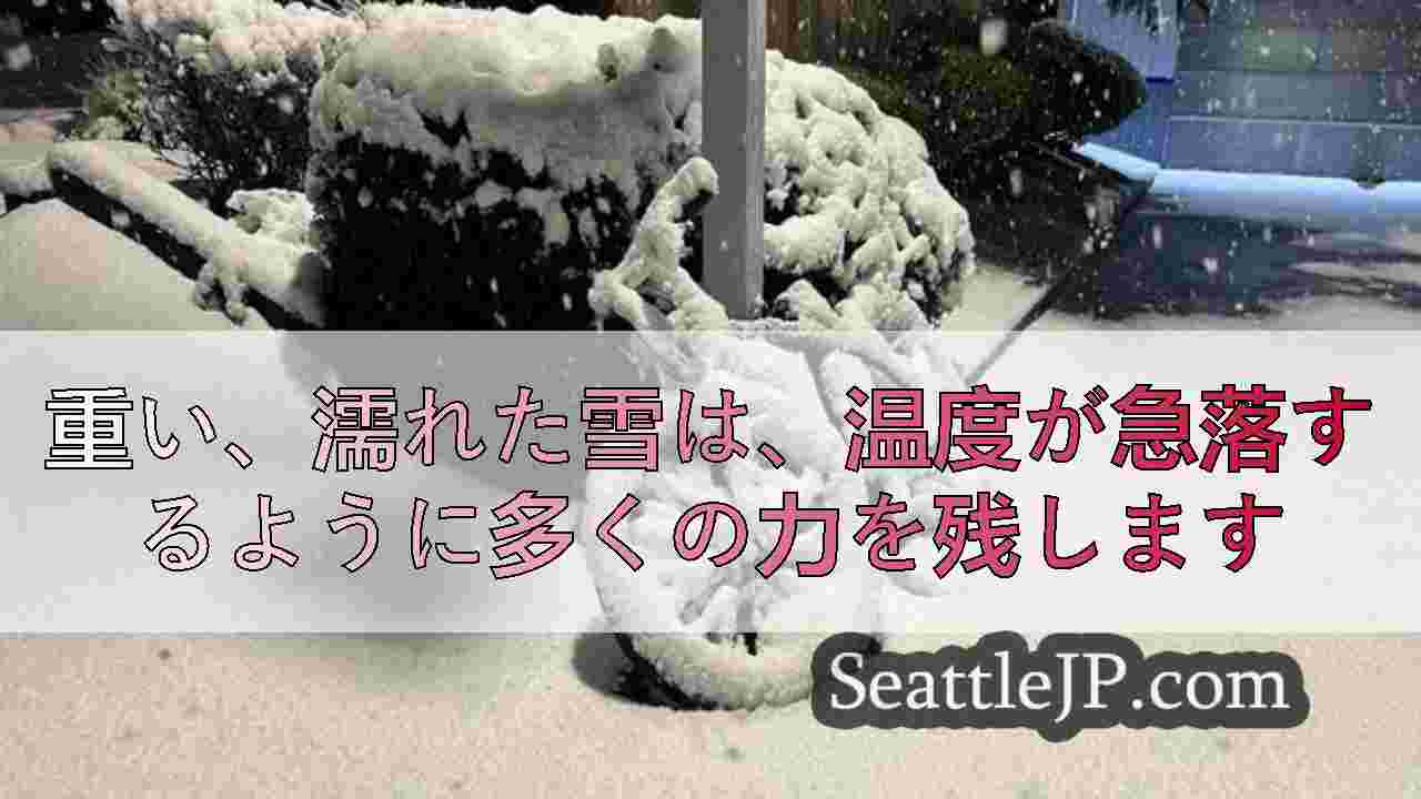 シアトルニュース SeattleJP