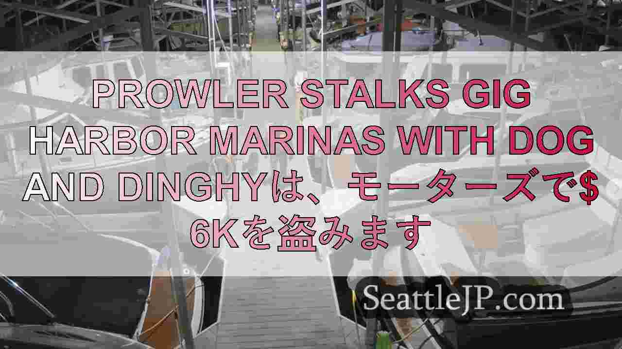 Prowler Stalks Gig Harbor Marinas with