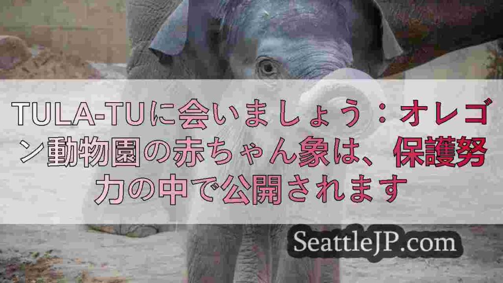 Tula-Tuに会いましょう：オレゴン動物園の赤ちゃん象は、保護努力の中で公開さ
