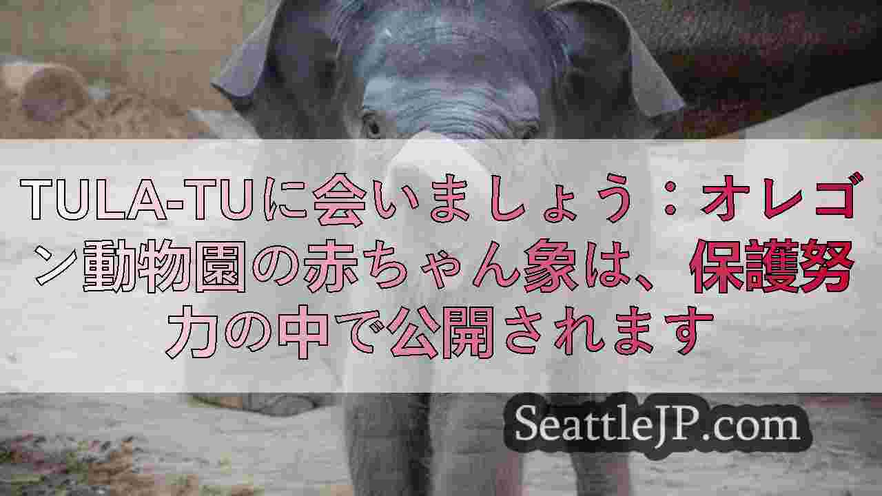 シアトルニュース SeattleJP
