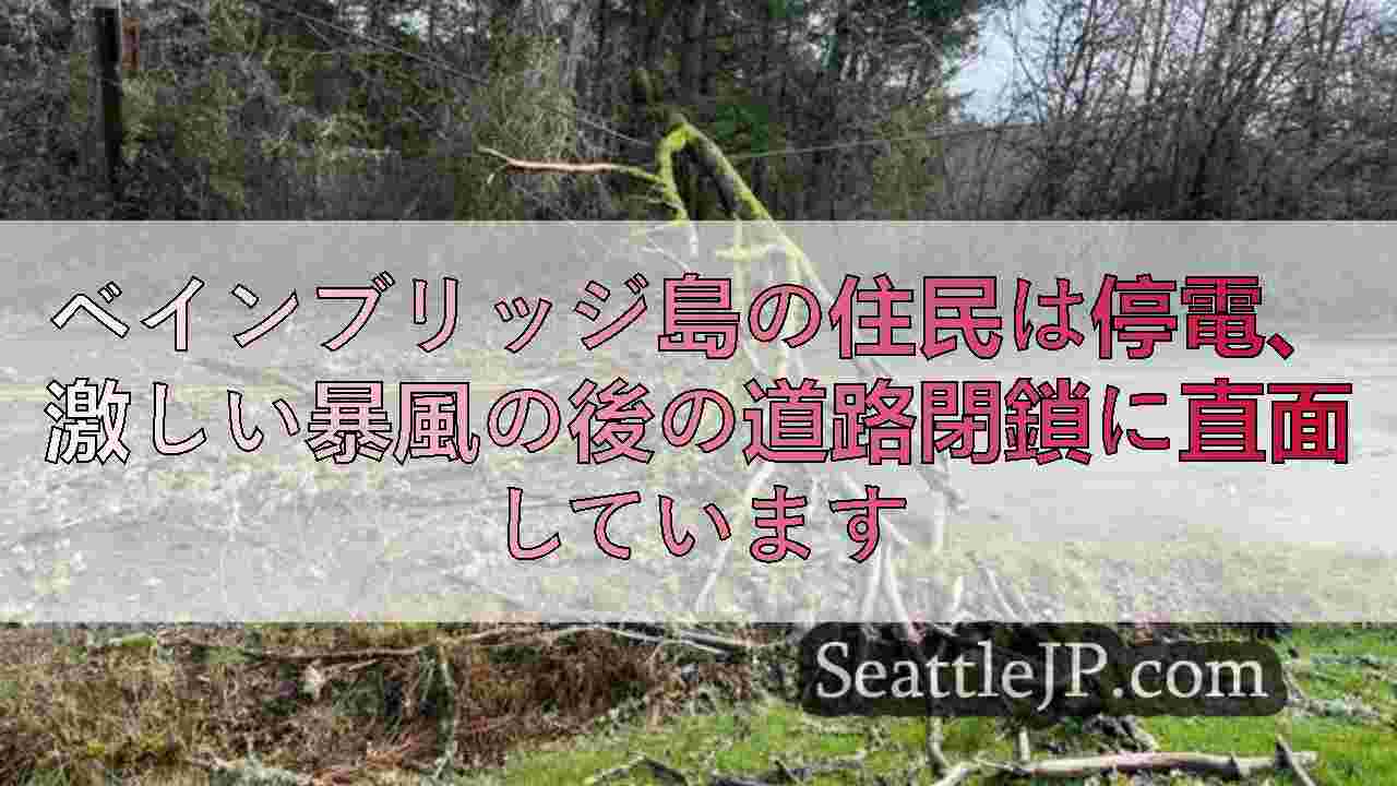 シアトルニュース SeattleJP