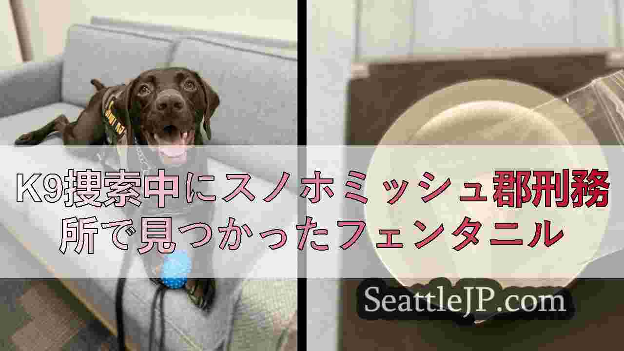 K9捜索中にスノホミッシュ郡刑務所で見つかったフェンタニル
