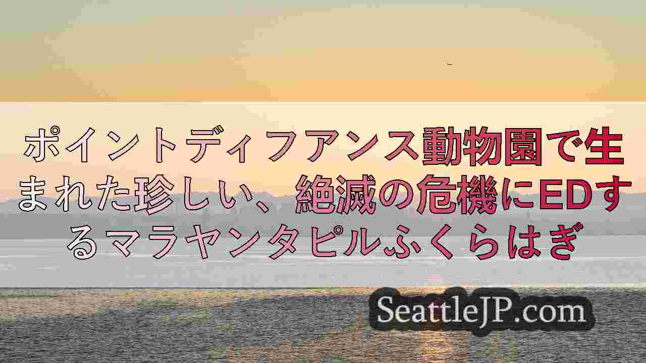 シアトルニュース SeattleJP