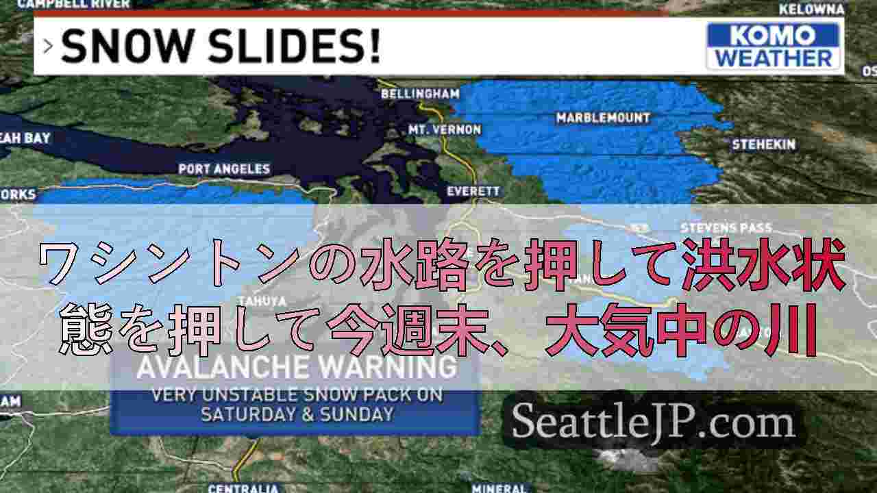 シアトルニュース SeattleJP