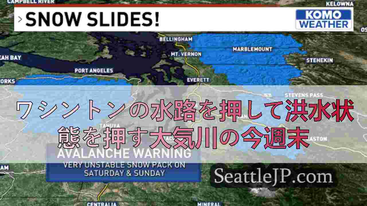 シアトルニュース SeattleJP