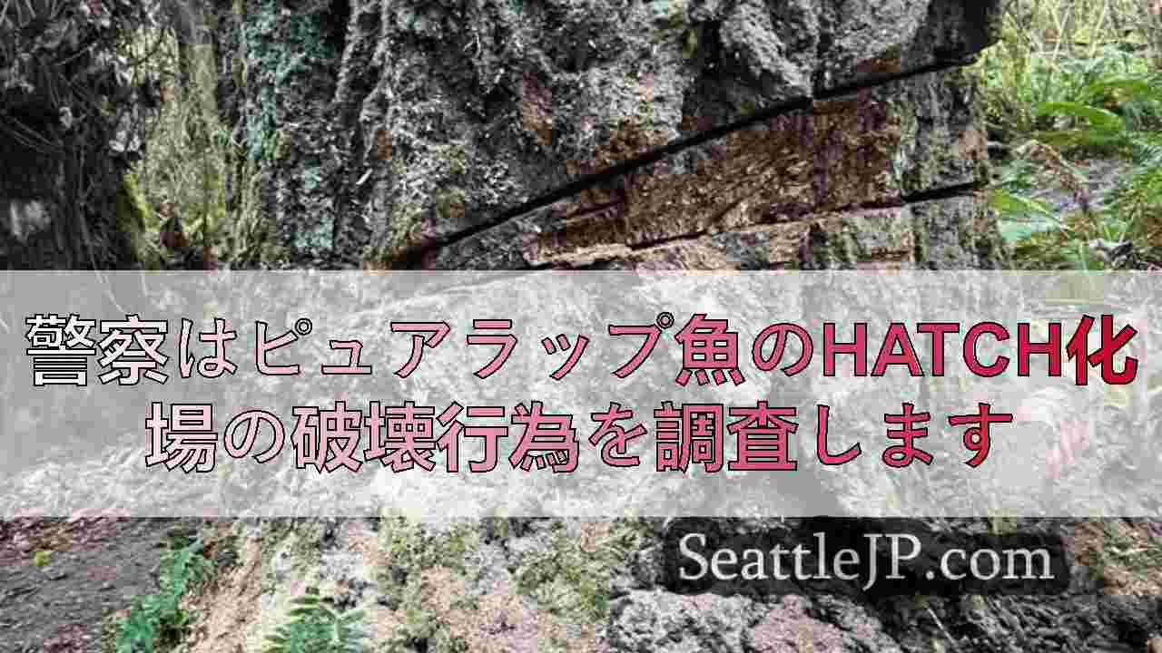 シアトルニュース SeattleJP