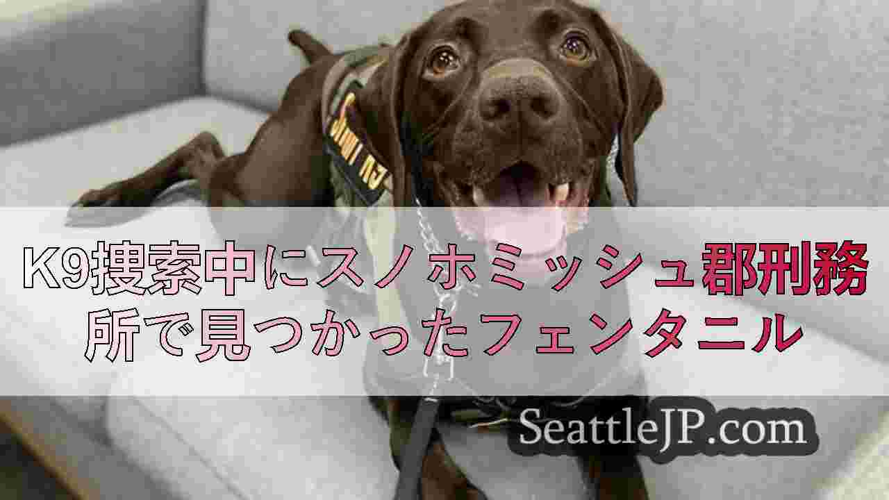 シアトルニュース SeattleJP