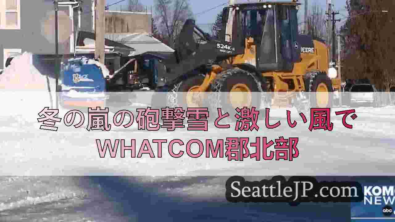 冬の嵐の砲撃雪と激しい風でwhatcom郡北部