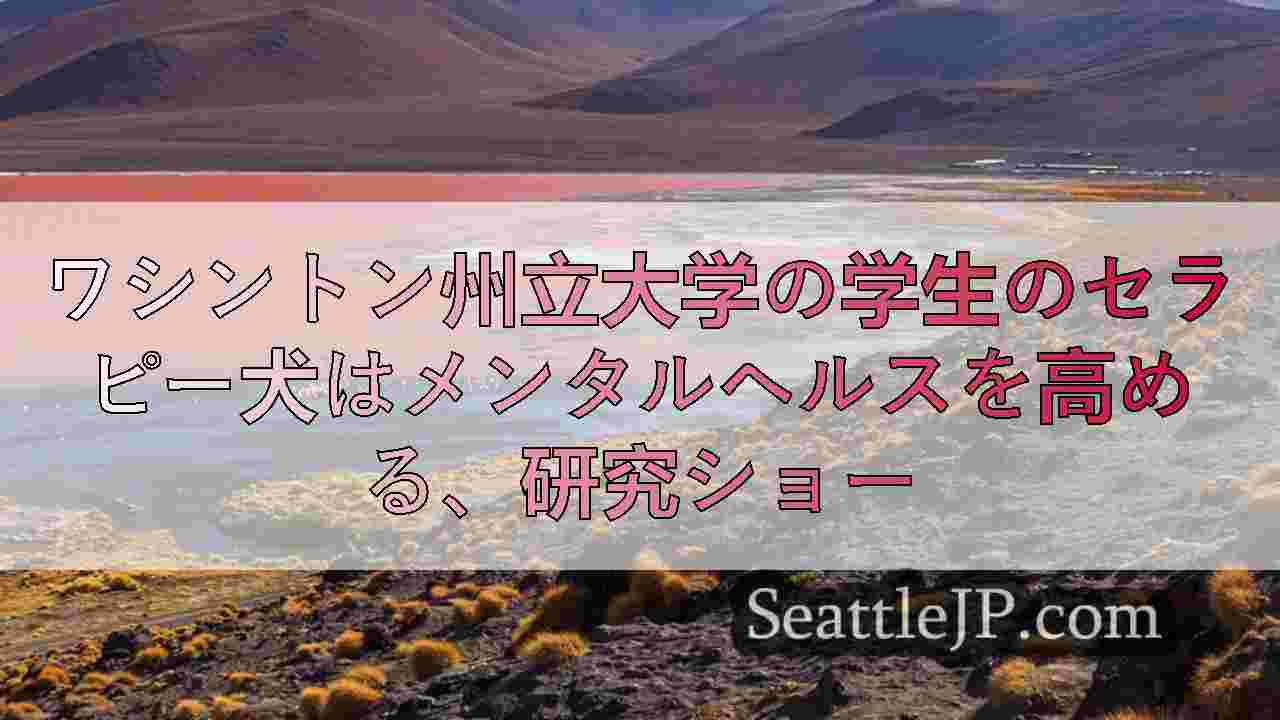 シアトルニュース SeattleJP