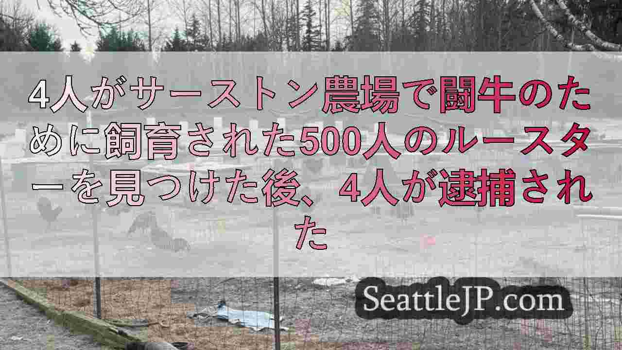 4人がサーストン農場で闘牛のために飼育された500人のルースターを見つけた後、4