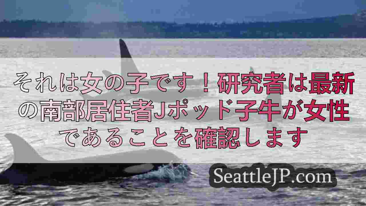 シアトルニュース SeattleJP