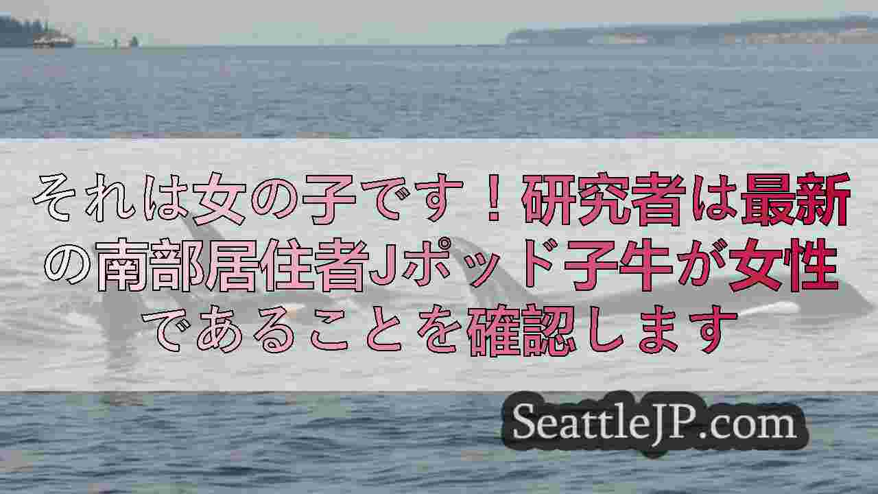 シアトルニュース SeattleJP