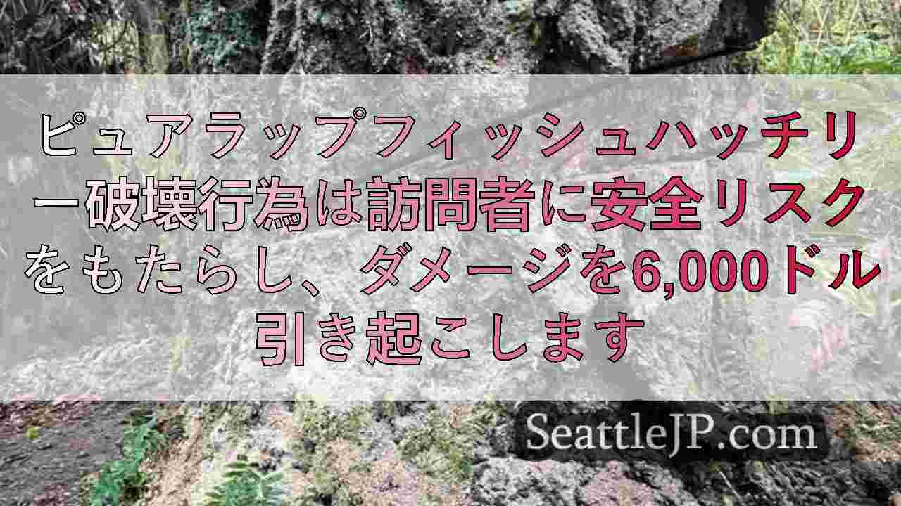 シアトルニュース SeattleJP