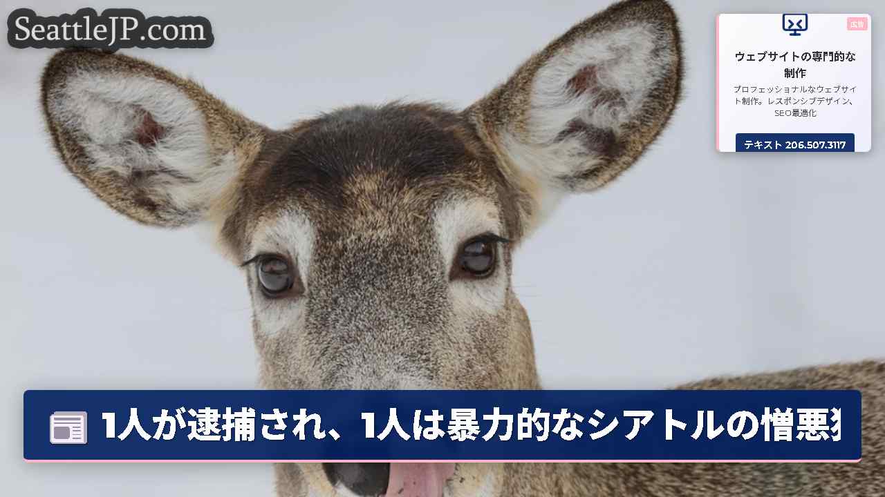 シアトルニュース SeattleJP