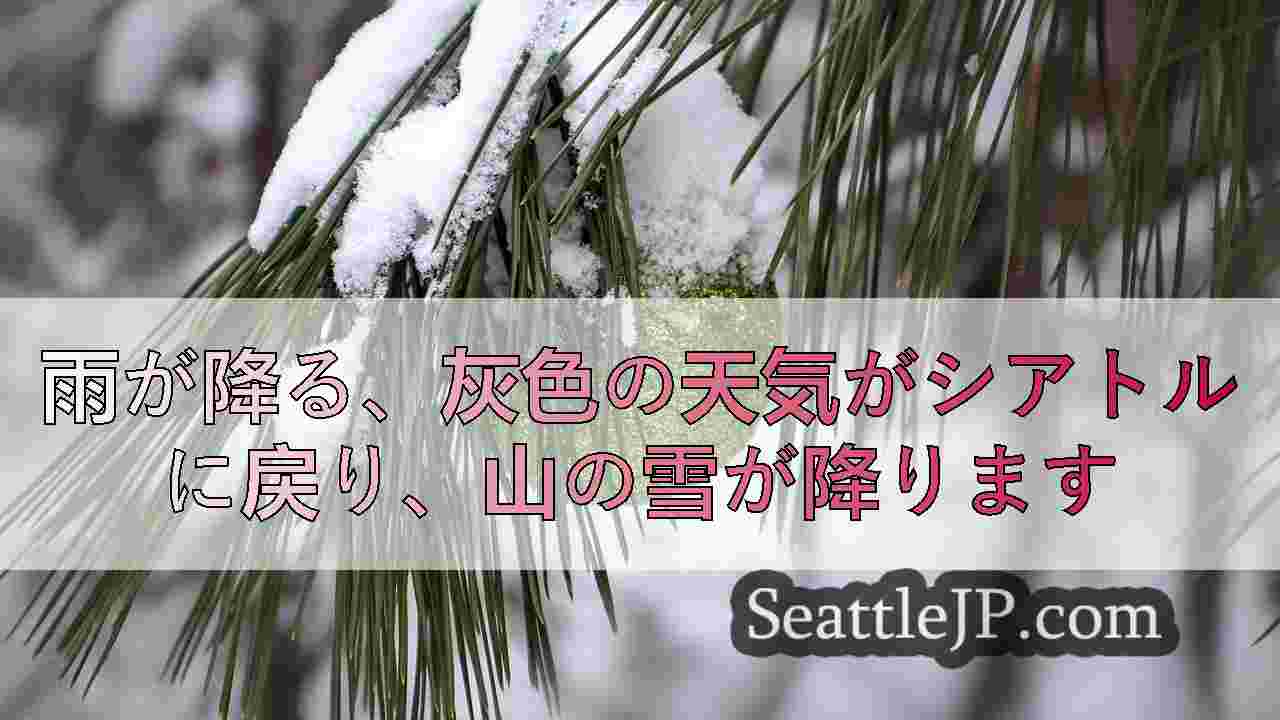 シアトルニュース SeattleJP