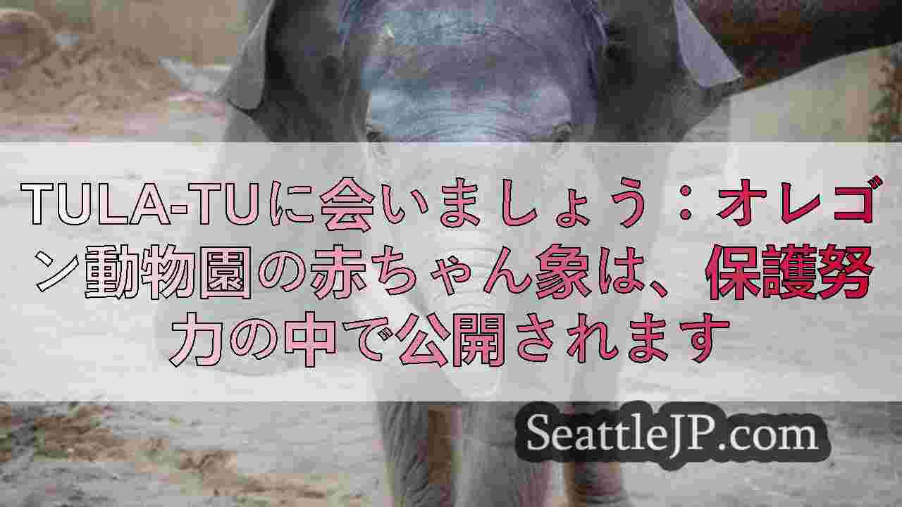 シアトルニュース SeattleJP