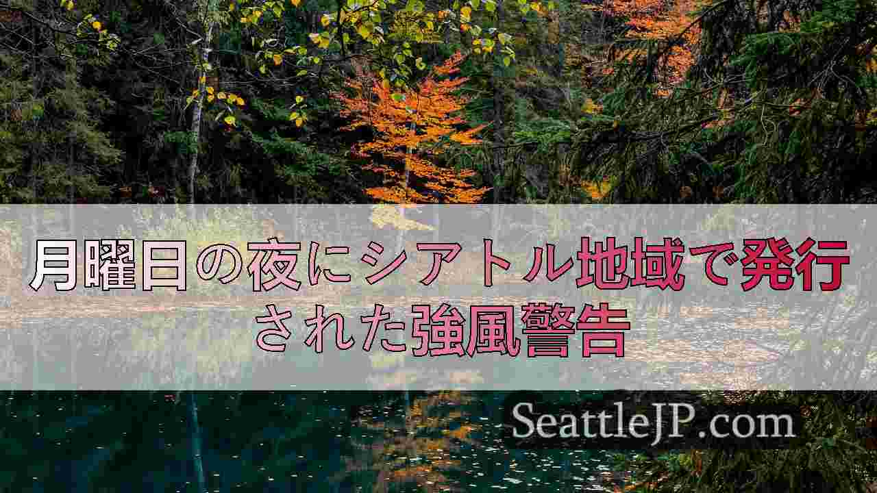 シアトルニュース SeattleJP