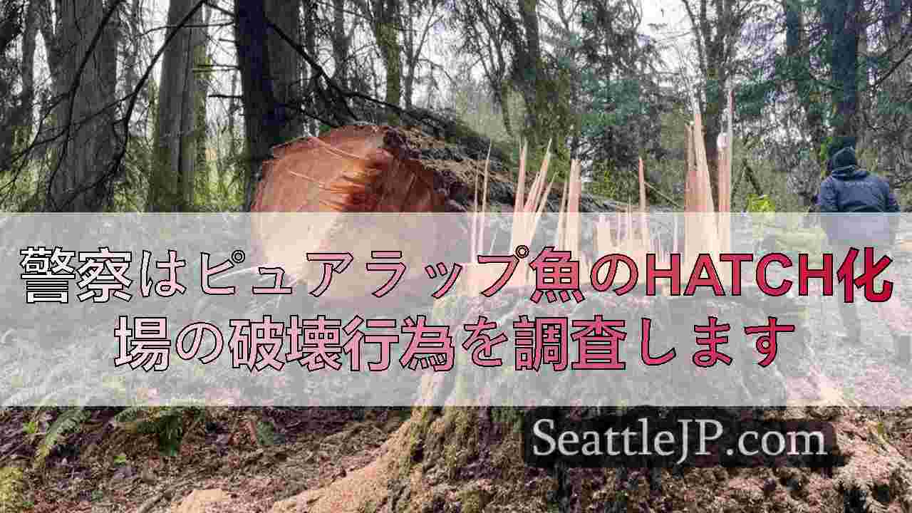 警察はピュアラップ魚のhatch化場の破壊行為を調査します