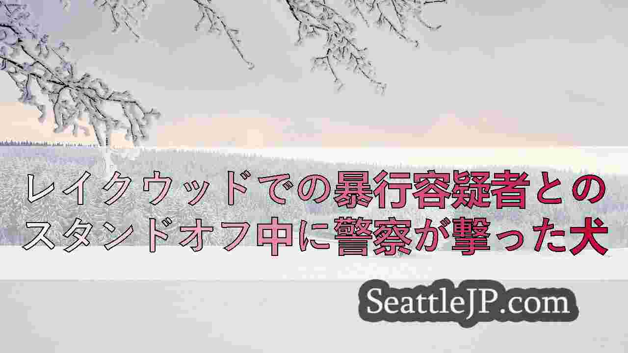 シアトルニュース SeattleJP