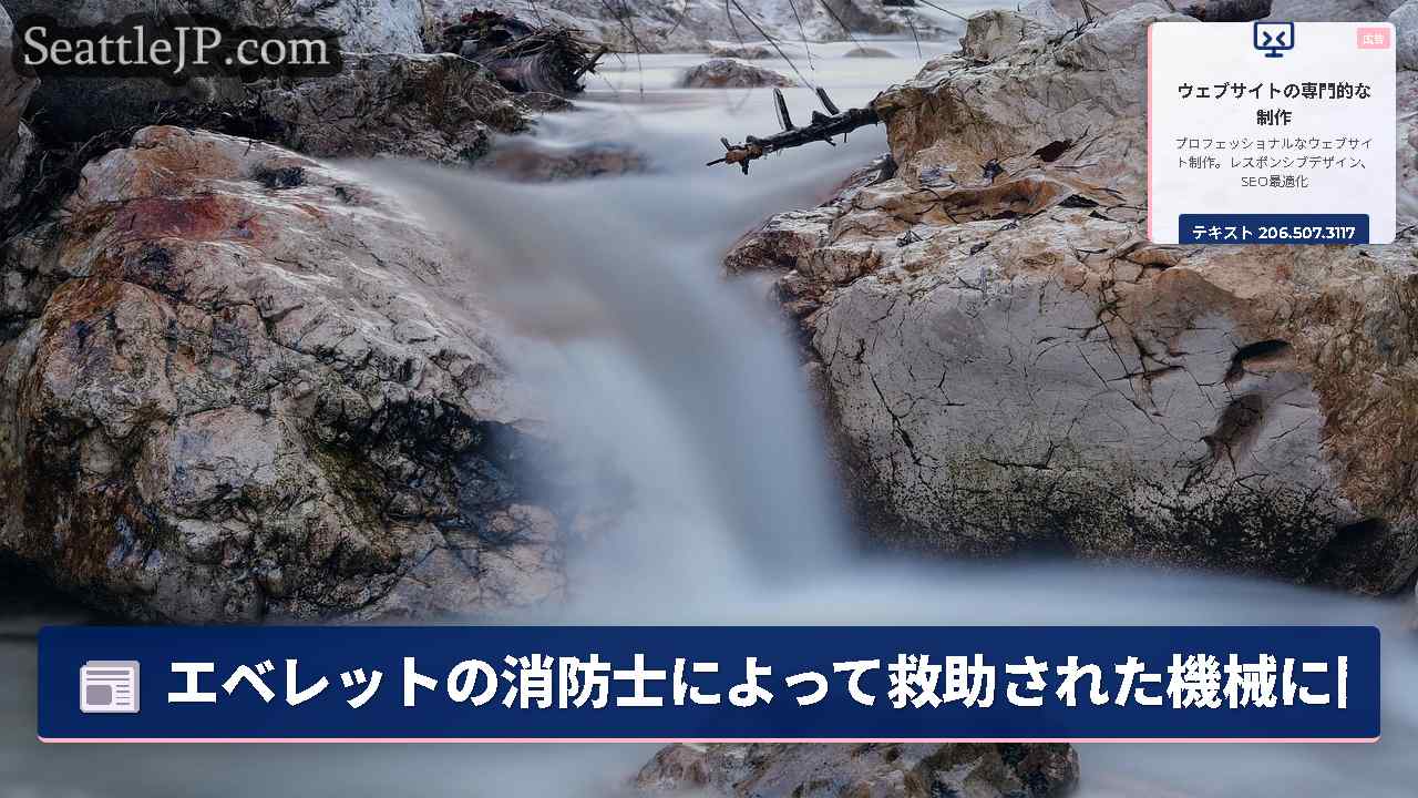 シアトルニュース SeattleJP