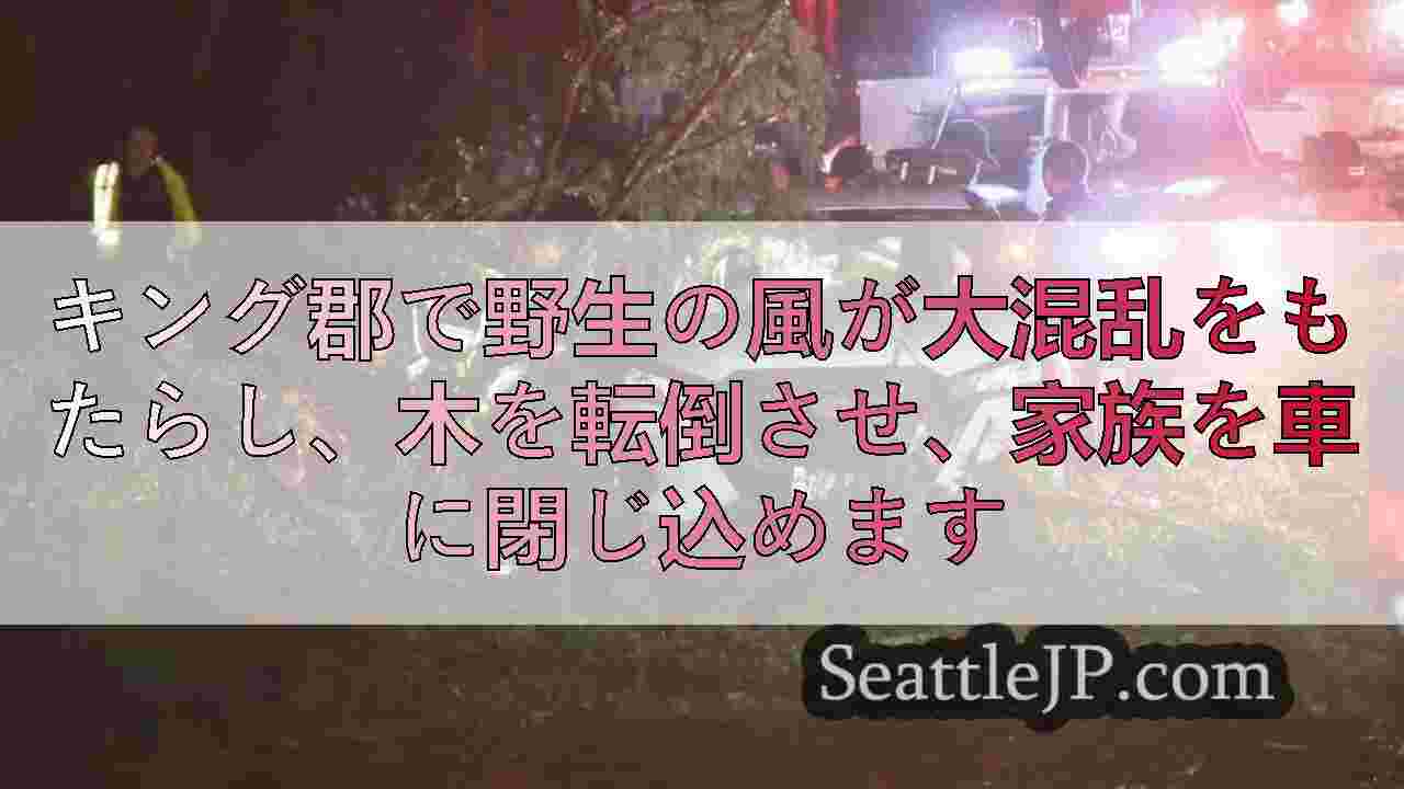 キング郡で野生の風が大混乱をもたらし、木を転倒させ、家族を車に閉じ込めます