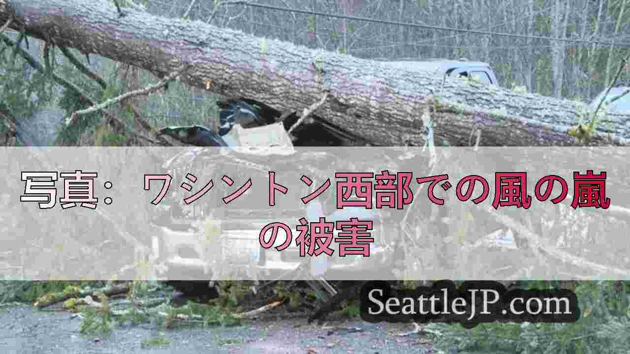 シアトルニュース SeattleJP