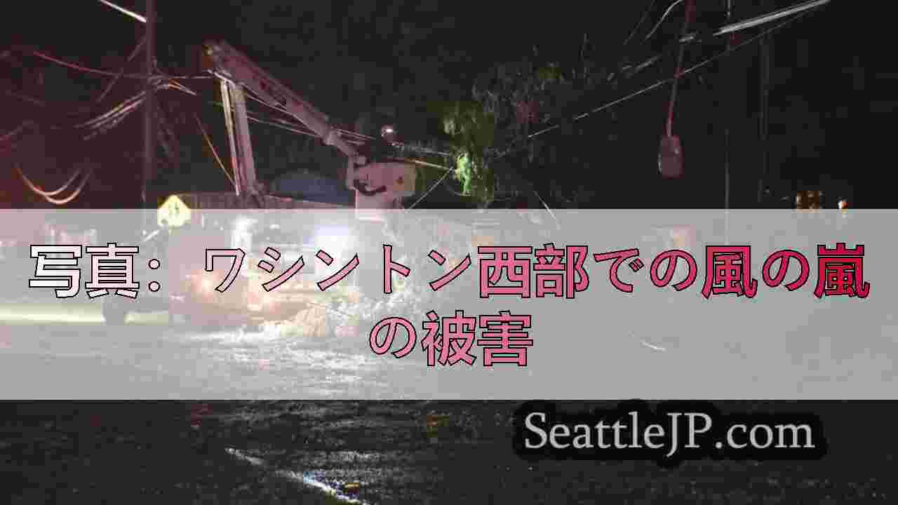 写真：ワシントン西部での風の嵐の被害