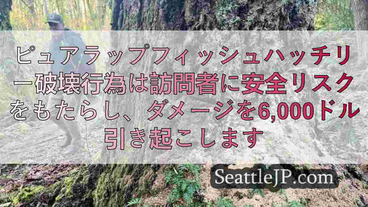 シアトルニュース SeattleJP