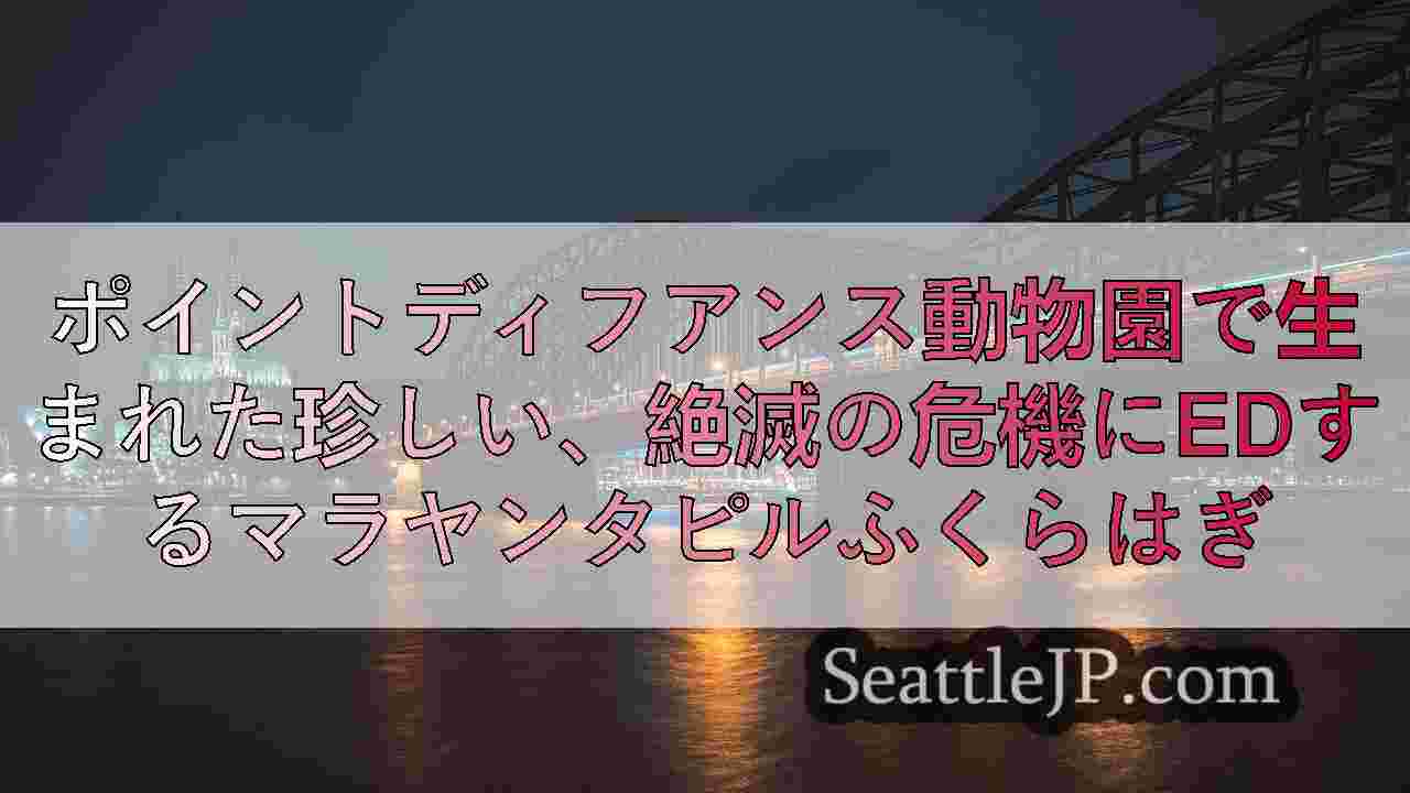 シアトルニュース SeattleJP