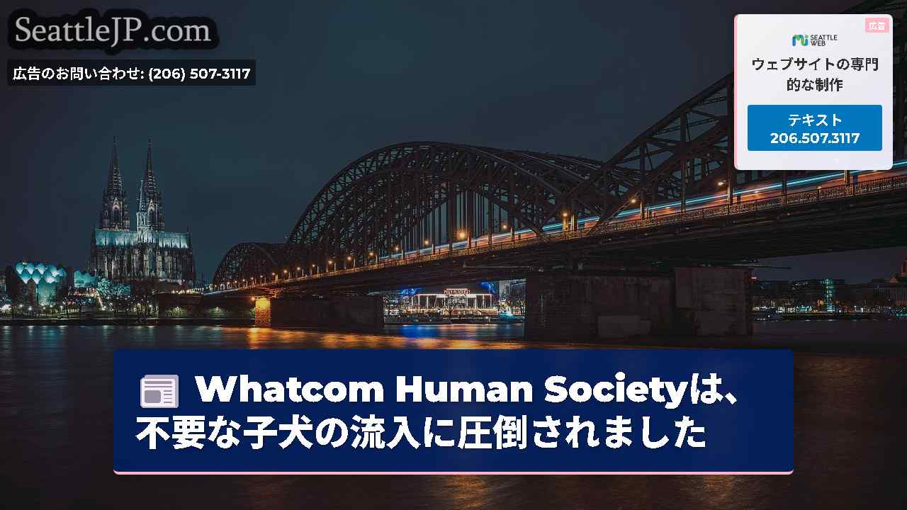 シアトルニュース SeattleJP