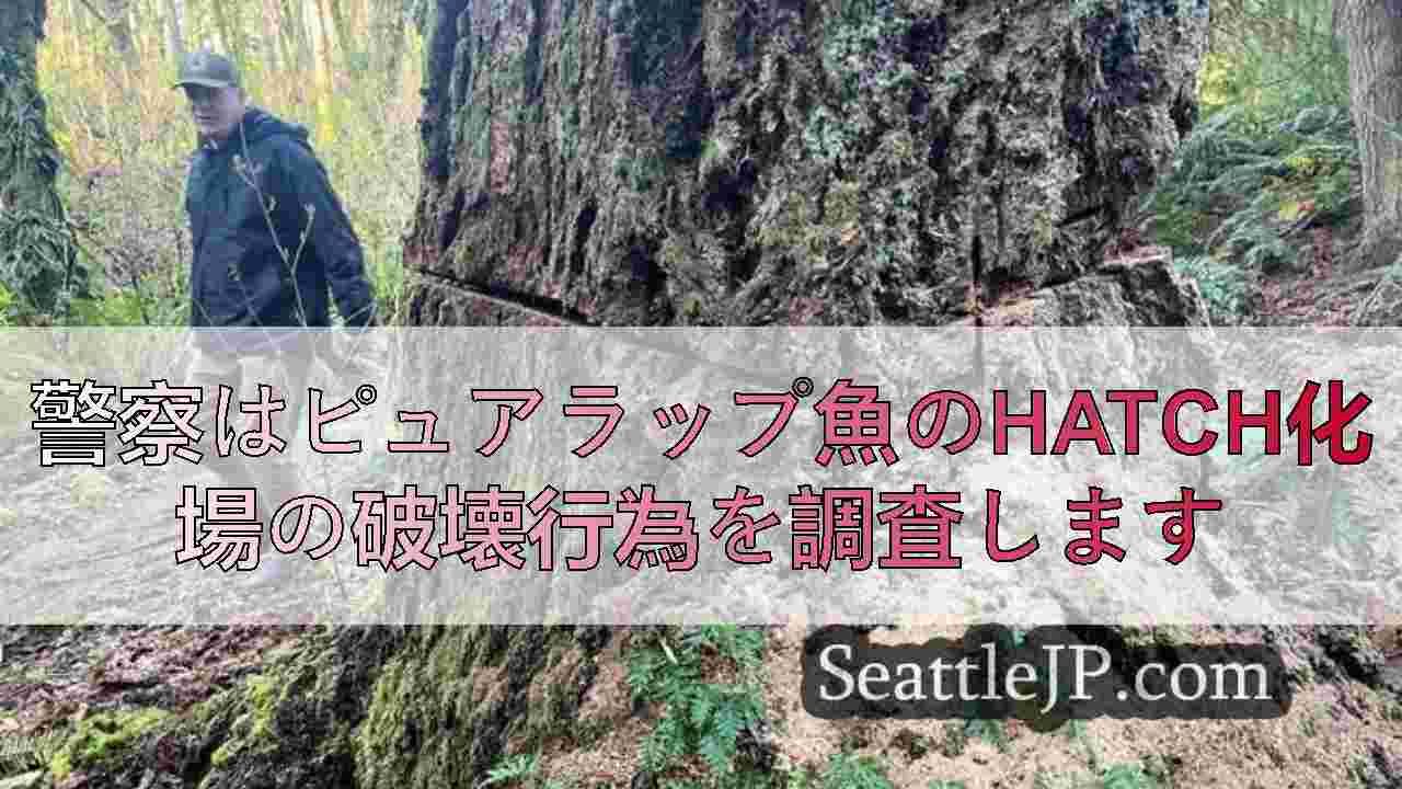 シアトルニュース SeattleJP