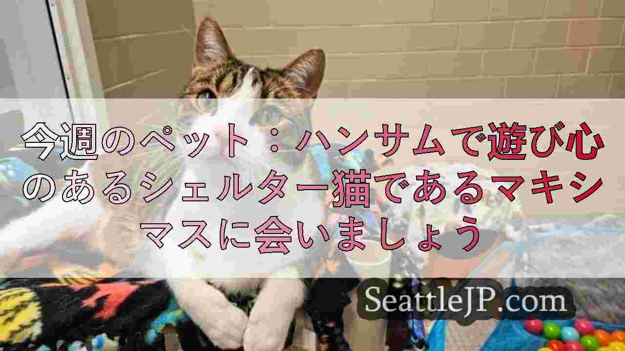 シアトルニュース SeattleJP