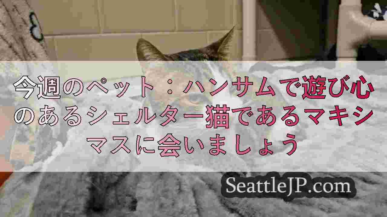 シアトルニュース SeattleJP