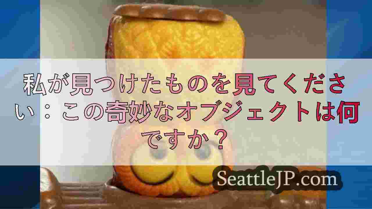 私が見つけたものを見てください：この奇妙なオブジェクトは何ですか？
