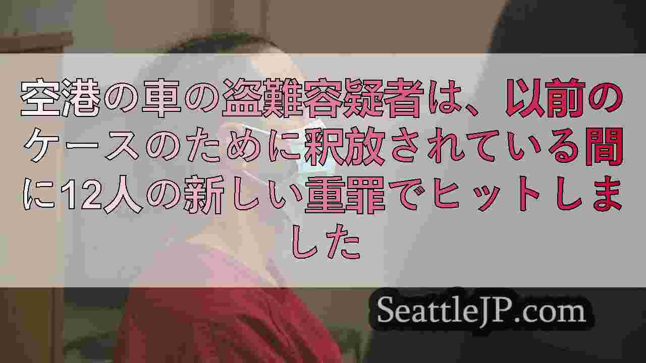 空港の車の盗難容疑者は、以前のケースのために釈放されている間に12人の新しい重罪