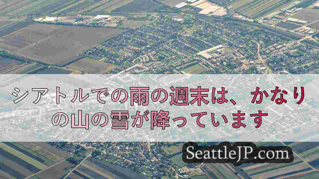 シアトルニュース SeattleJP