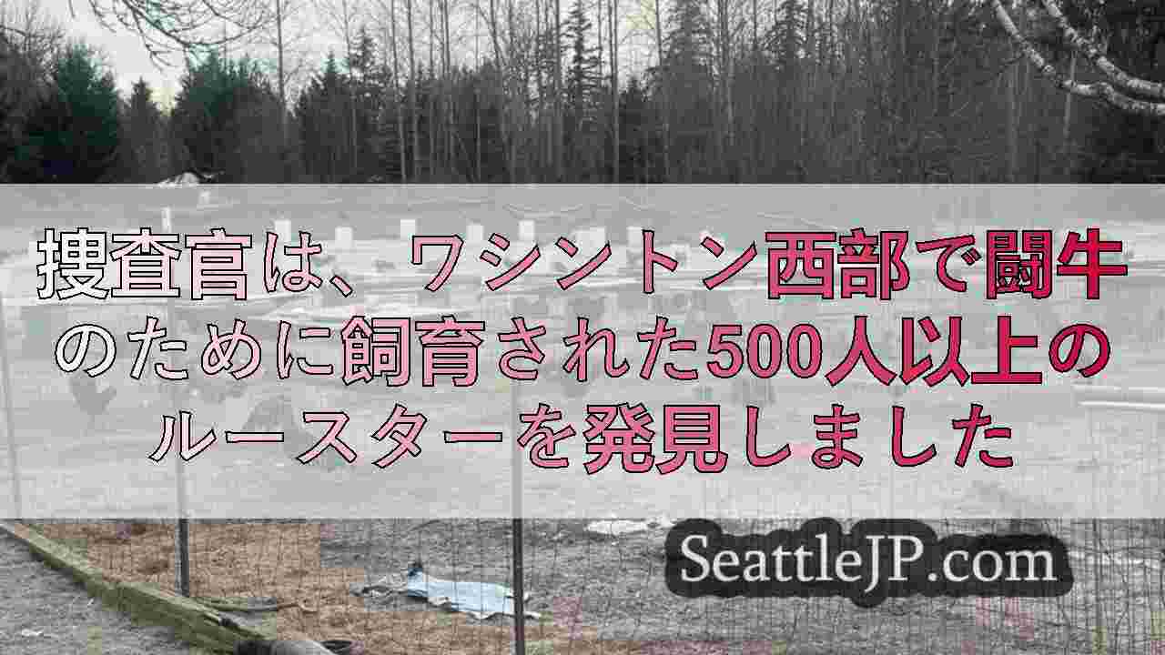 捜査官は、ワシントン西部で闘牛のために飼育された500人以上のルースターを発見し