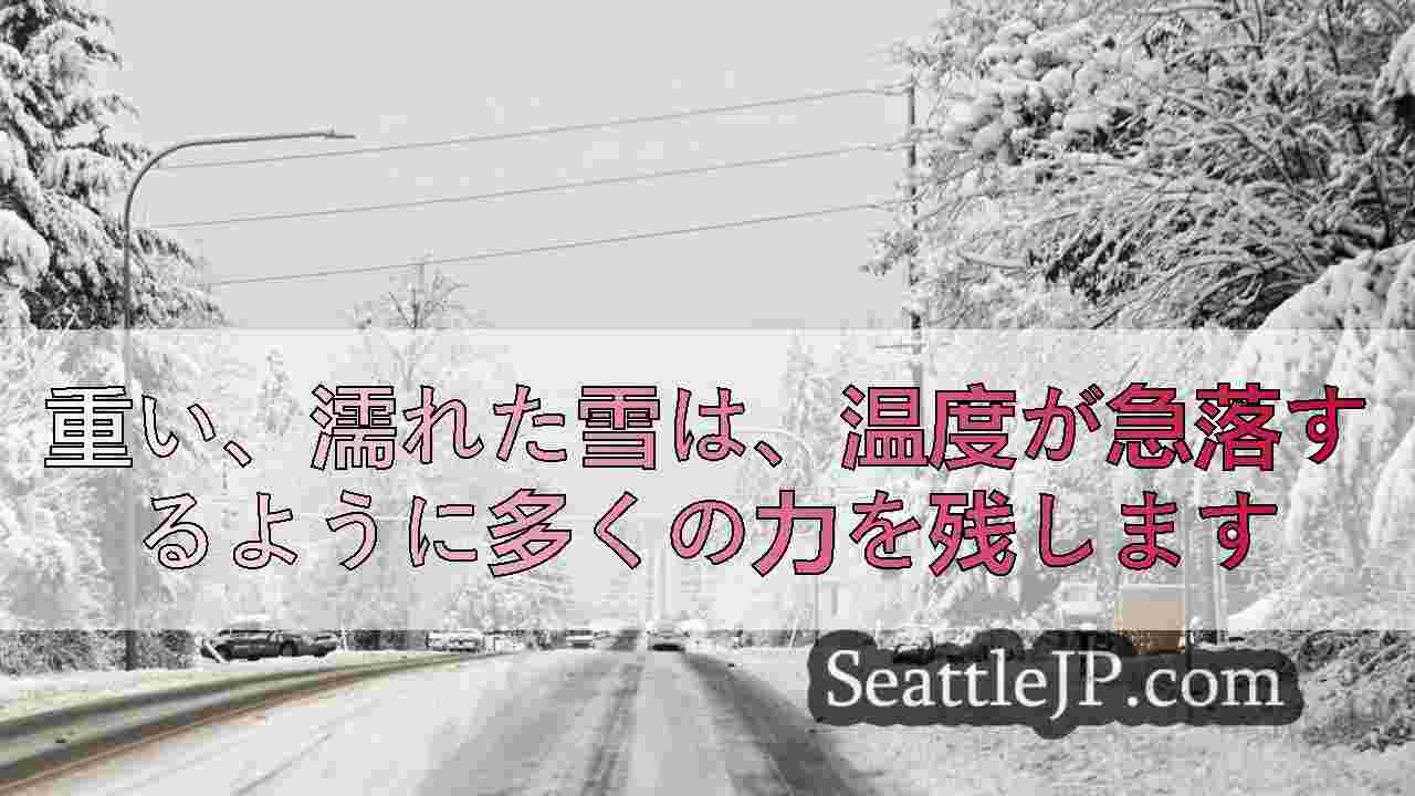重い、濡れた雪は、温度が急落するように多くの力を残します
