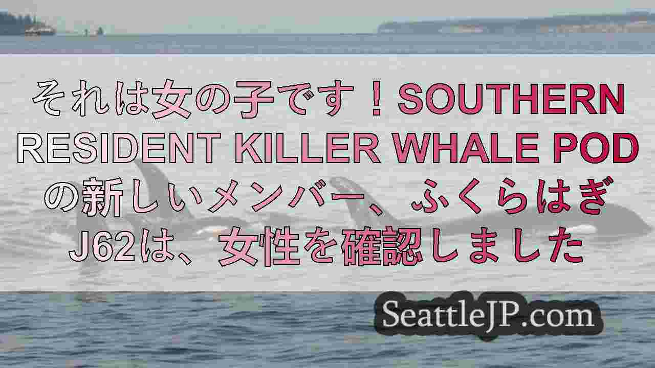 シアトルニュース SeattleJP