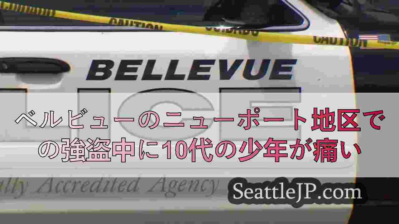 ベルビューのニューポート地区での強盗中に10代の少年が痛い