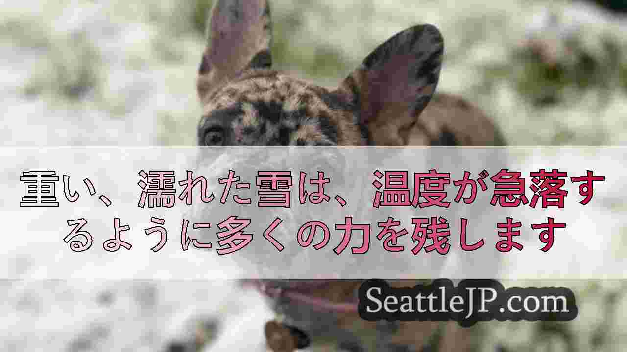 シアトルニュース SeattleJP