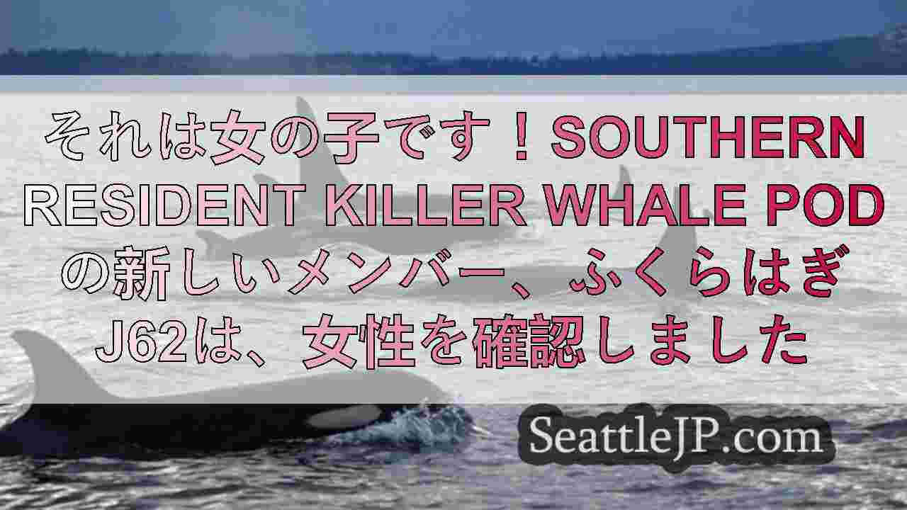 シアトルニュース SeattleJP