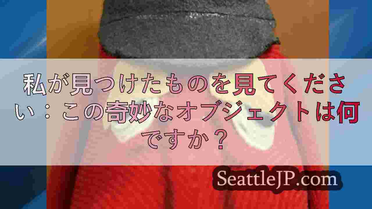 シアトルニュース SeattleJP