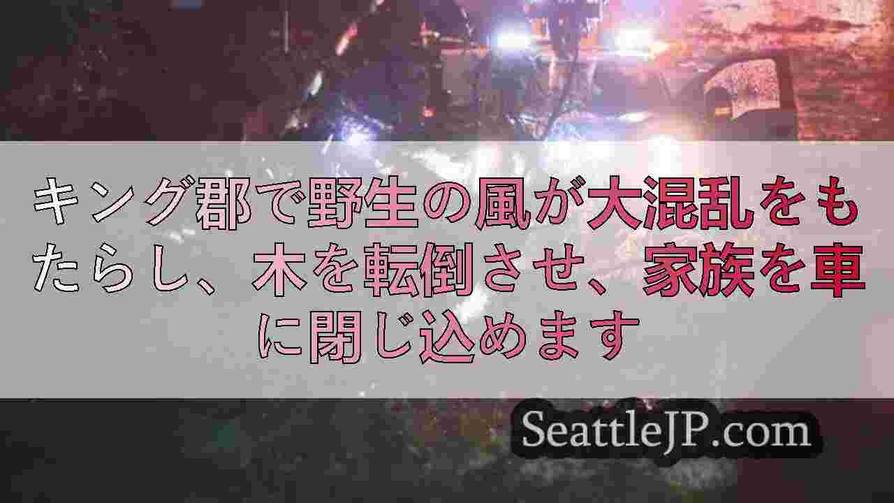 シアトルニュース SeattleJP