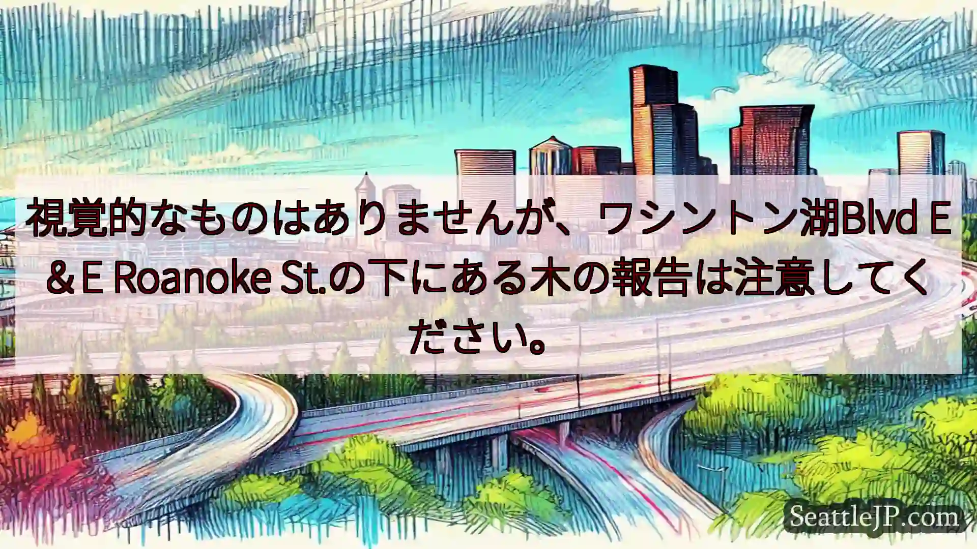 視覚的なものはありませんが、ワシントン湖Blvd E＆E Roanoke