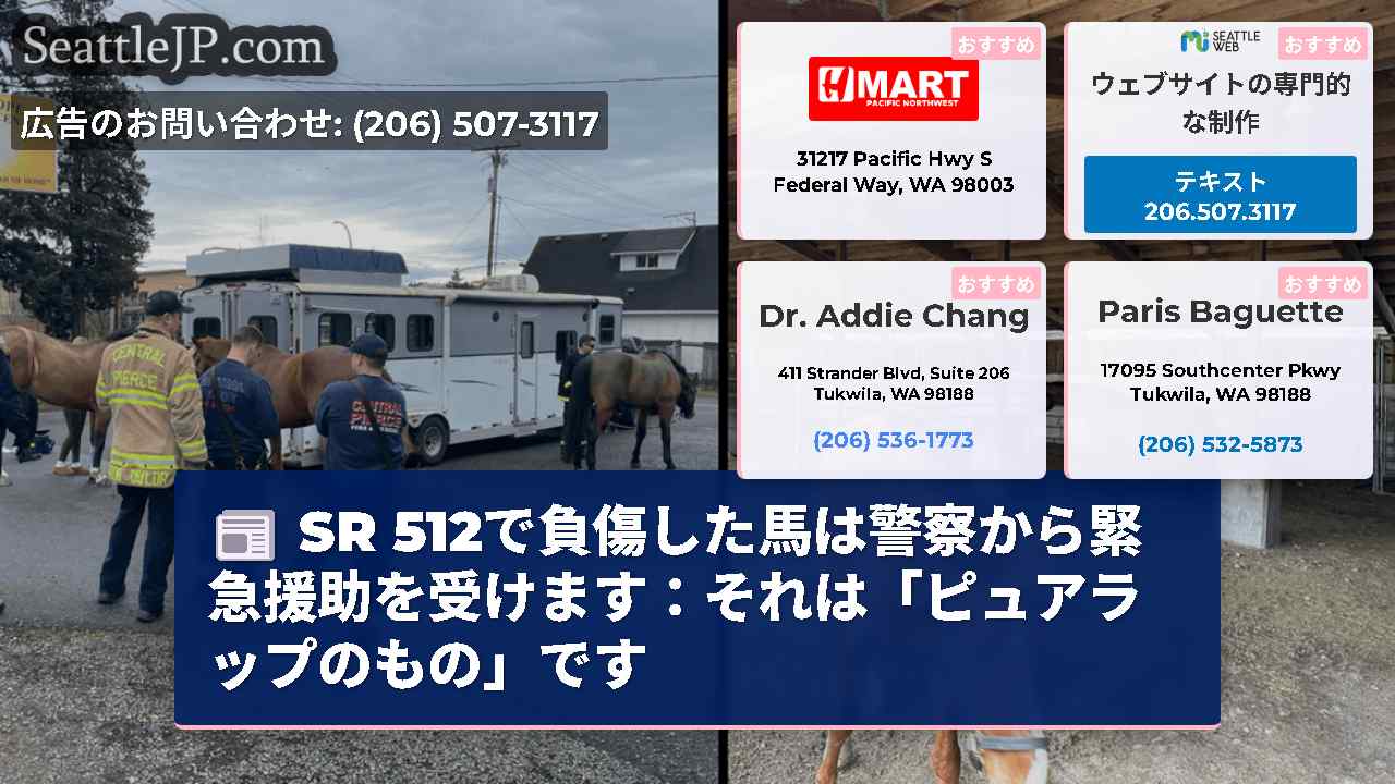 SR 512で負傷した馬は警察から緊急援助を受けます：それは「ピュアラップのもの」です