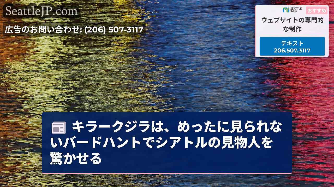 キラークジラは、めったに見られないバードハントでシアトルの見物人を驚かせる