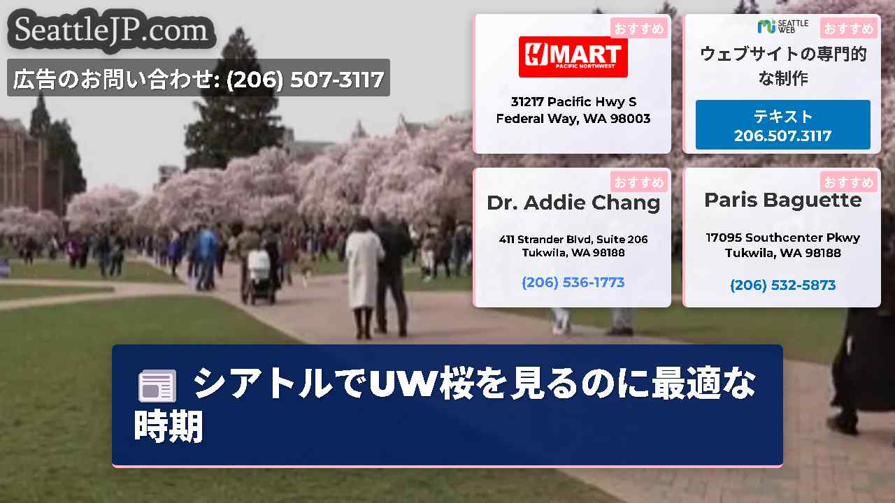 シアトルでUW桜を見るのに最適な時期