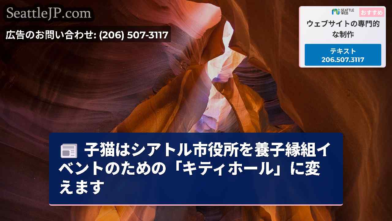 シアトルニュース SeattleJP